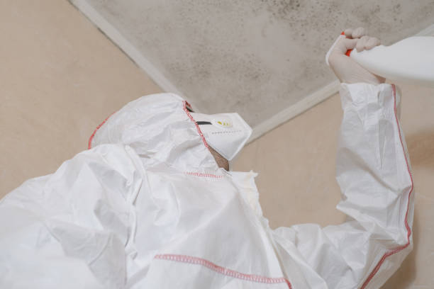 Best Biohazard Mold Removal  in Keystone, FL